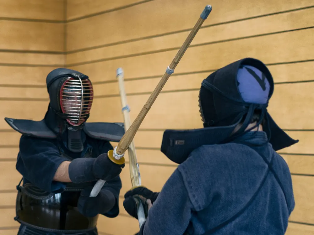 Kendo - Martial Art Type